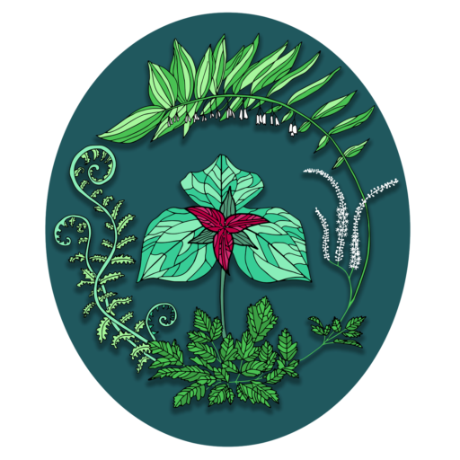 Site Icon
